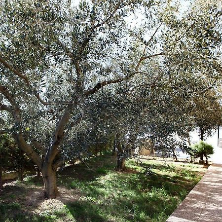 Peaceful Apartment Ankaran Sp מראה חיצוני תמונה